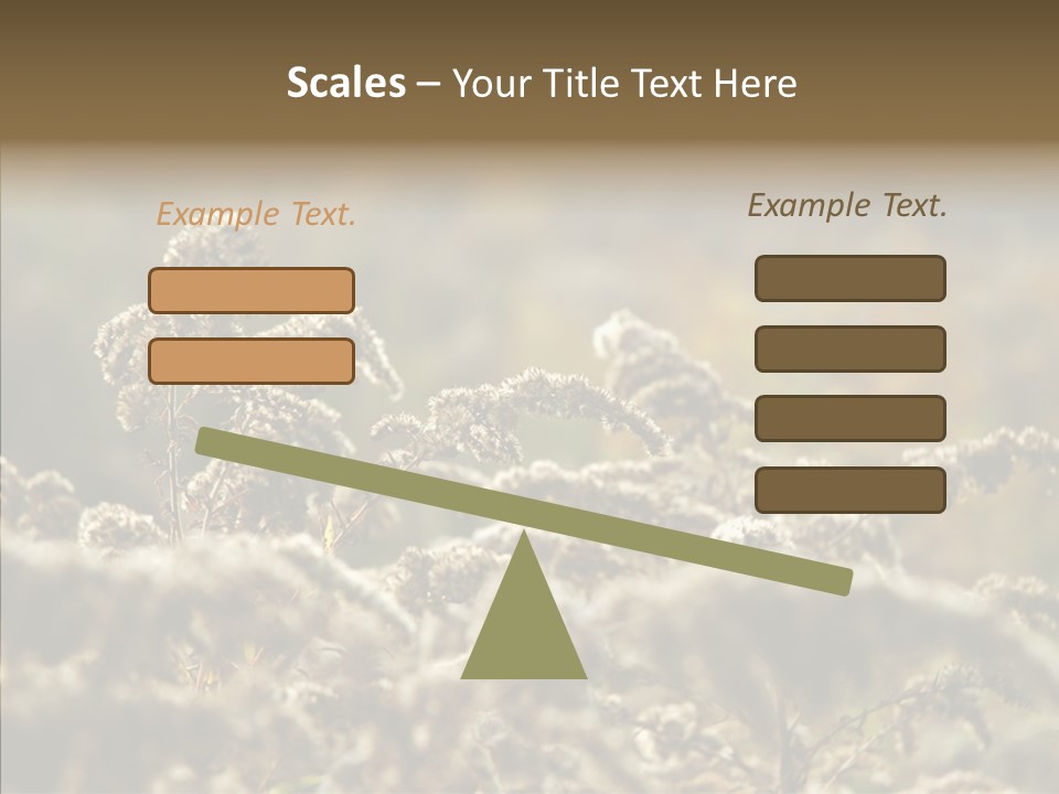 Grass Day Shadow PowerPoint Template