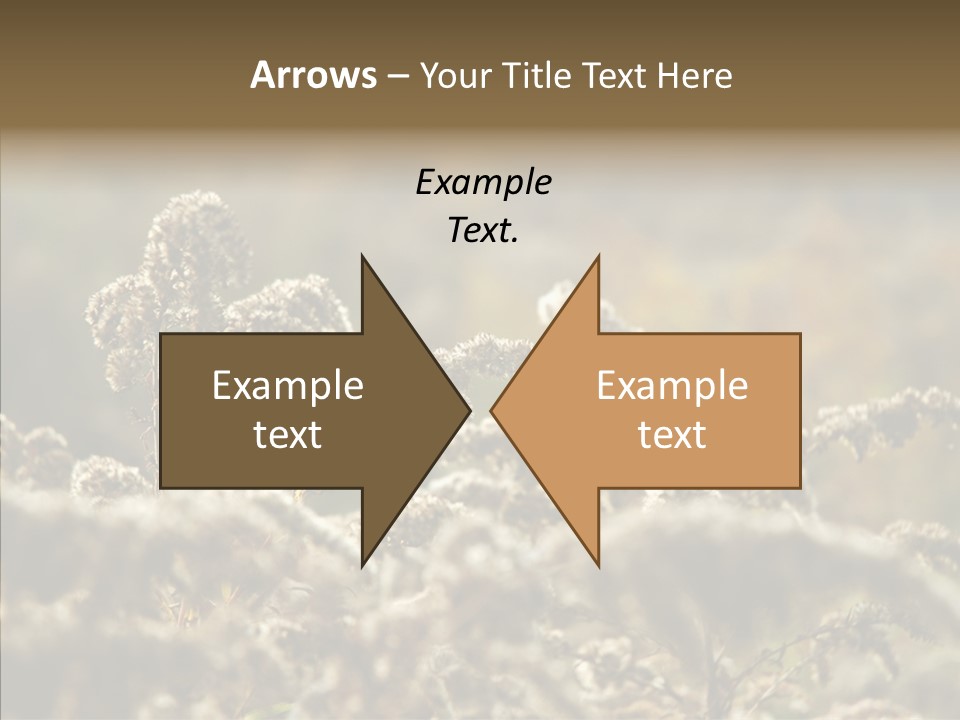 Grass Day Shadow PowerPoint Template