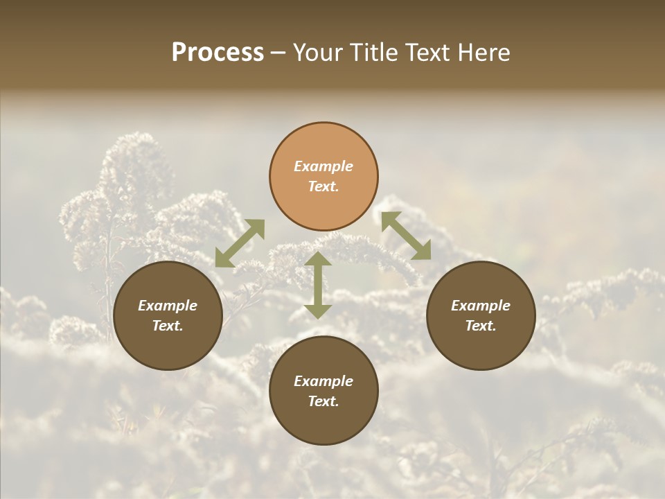 Grass Day Shadow PowerPoint Template