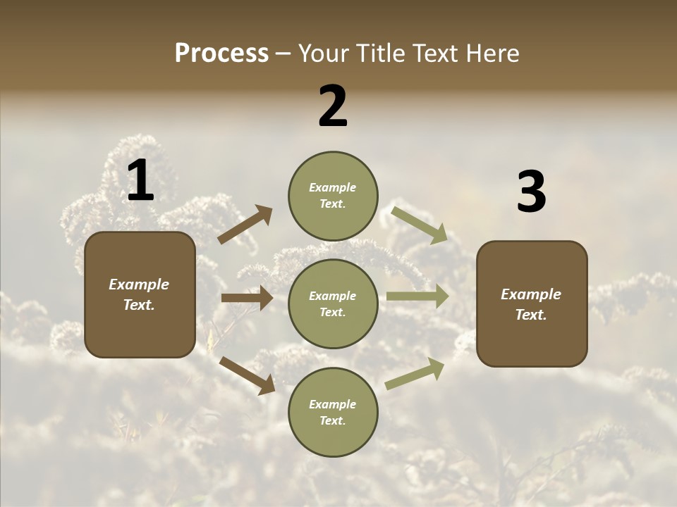 Grass Day Shadow PowerPoint Template