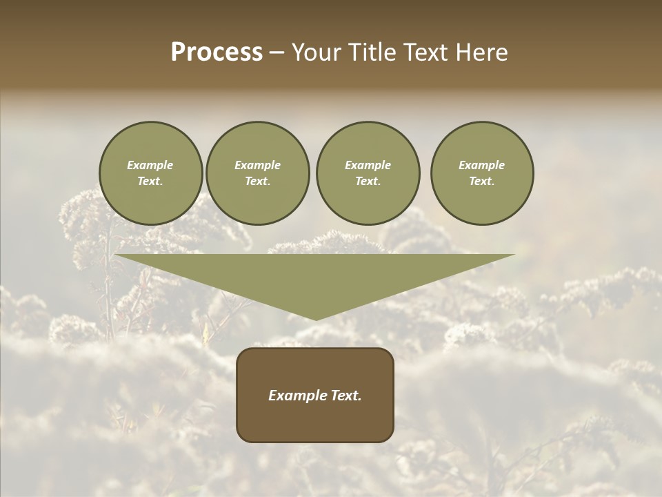 Grass Day Shadow PowerPoint Template