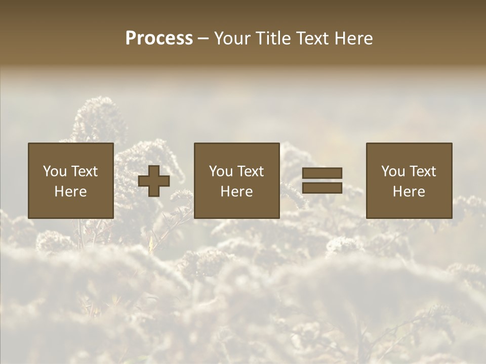 Grass Day Shadow PowerPoint Template
