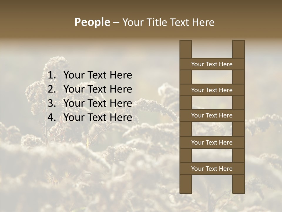 Grass Day Shadow PowerPoint Template