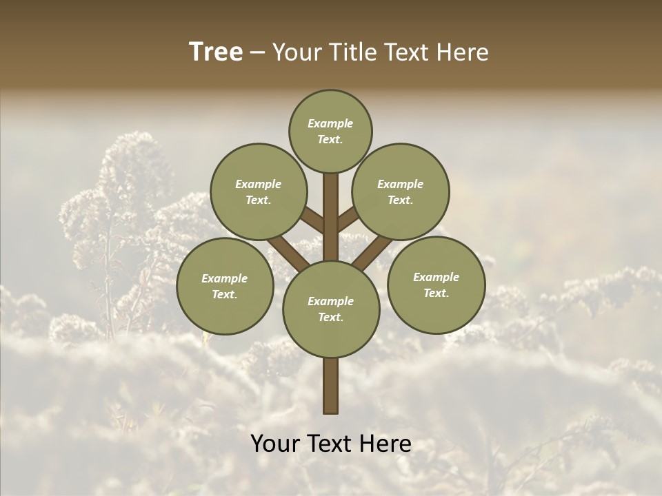 Grass Day Shadow PowerPoint Template