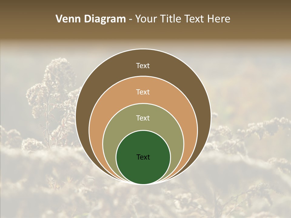 Grass Day Shadow PowerPoint Template