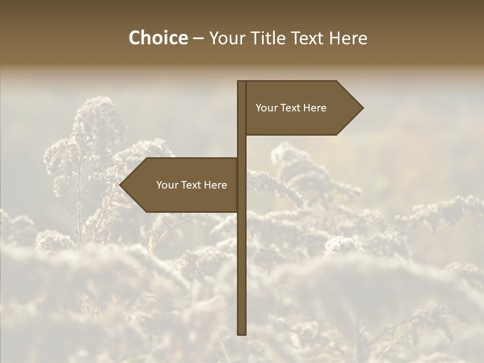 Grass Day Shadow PowerPoint Template