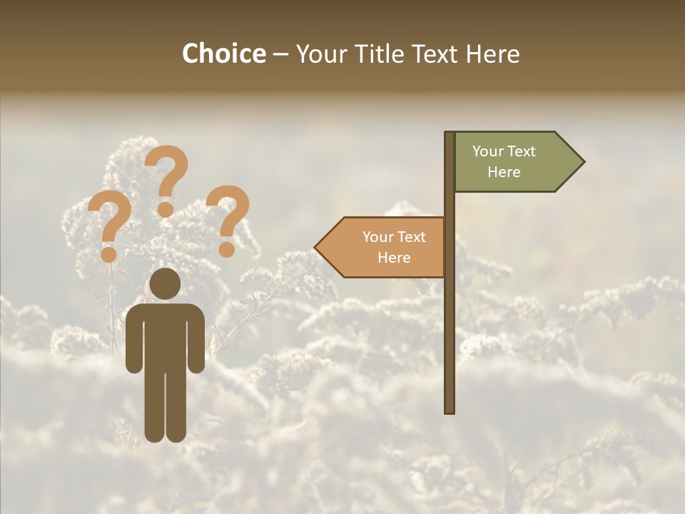 Grass Day Shadow PowerPoint Template