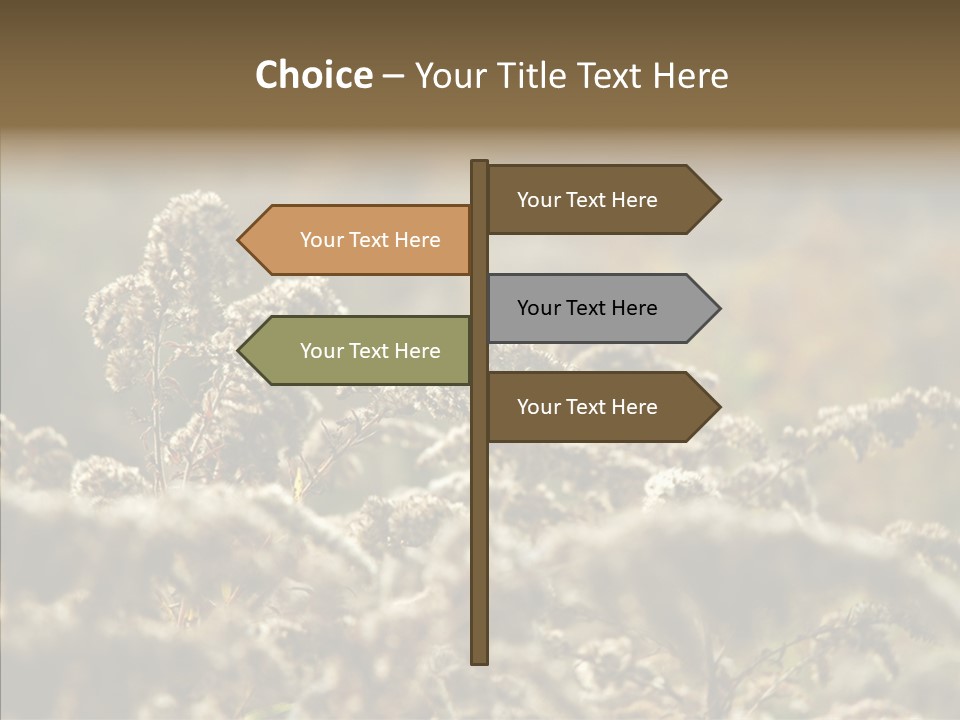 Grass Day Shadow PowerPoint Template