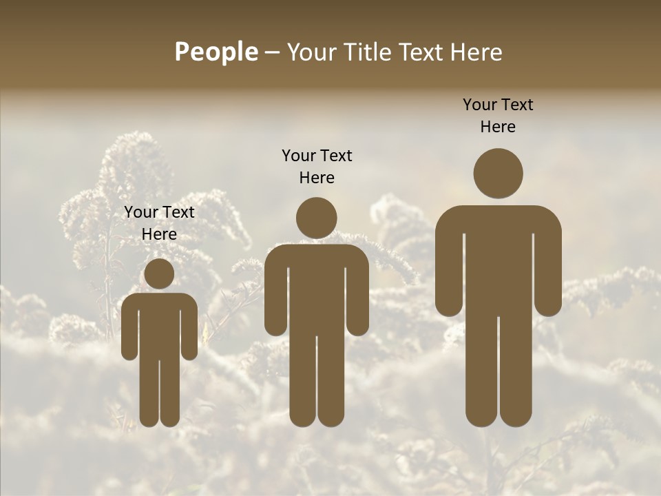 Grass Day Shadow PowerPoint Template