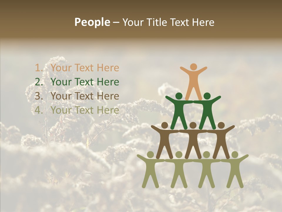 Grass Day Shadow PowerPoint Template