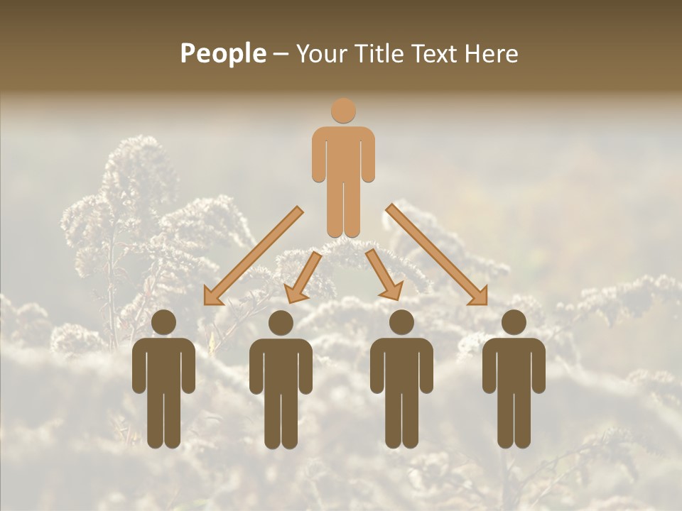 Grass Day Shadow PowerPoint Template