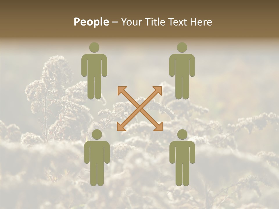 Grass Day Shadow PowerPoint Template