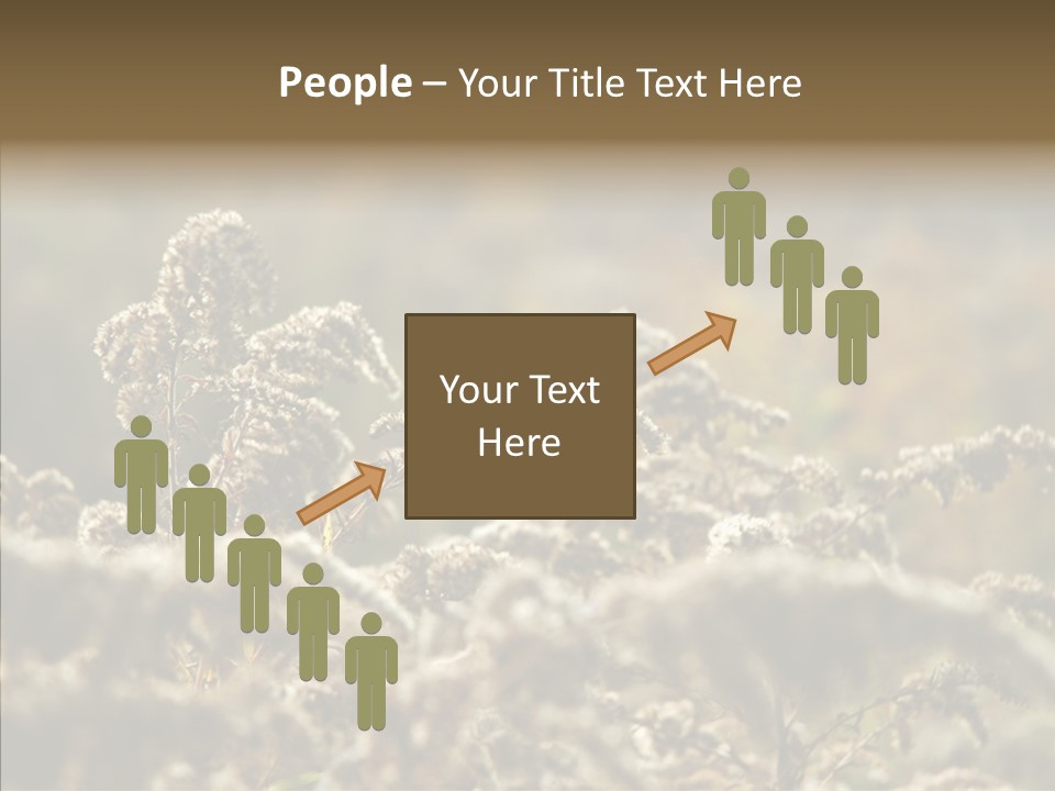 Grass Day Shadow PowerPoint Template