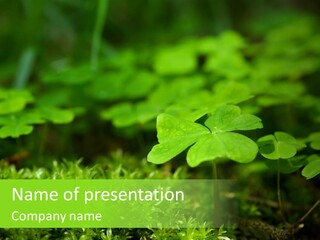 Woods Clover Nature PowerPoint Template