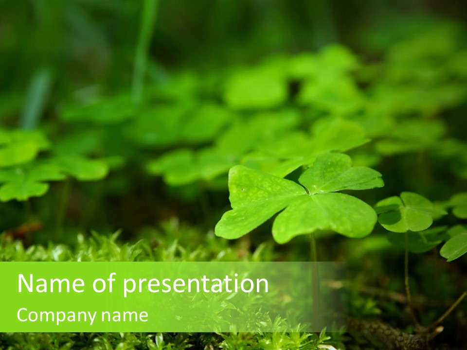 Woods Clover Nature PowerPoint Template