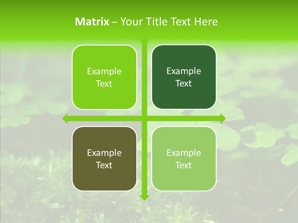 Woods Clover Nature PowerPoint Template