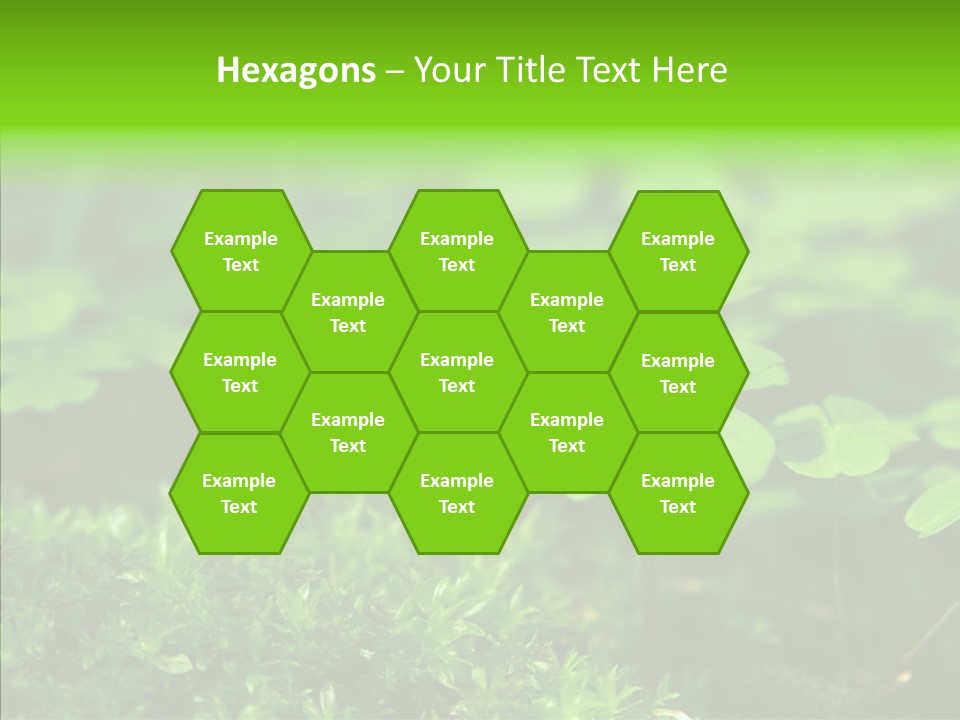 Woods Clover Nature PowerPoint Template