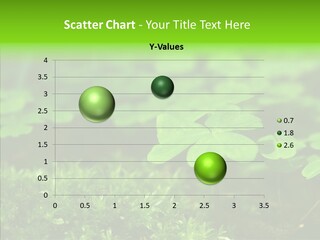 Woods Clover Nature PowerPoint Template