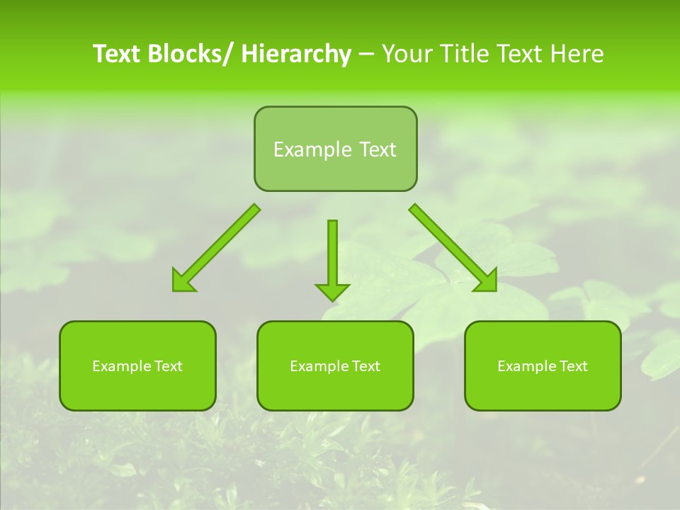 Woods Clover Nature PowerPoint Template