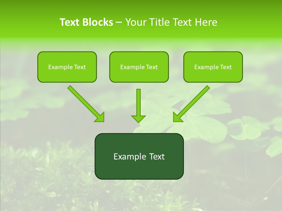 Woods Clover Nature PowerPoint Template