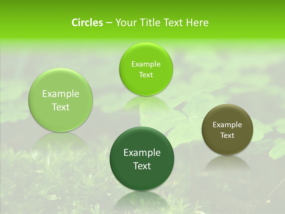 Woods Clover Nature PowerPoint Template