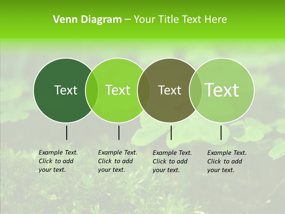 Woods Clover Nature PowerPoint Template