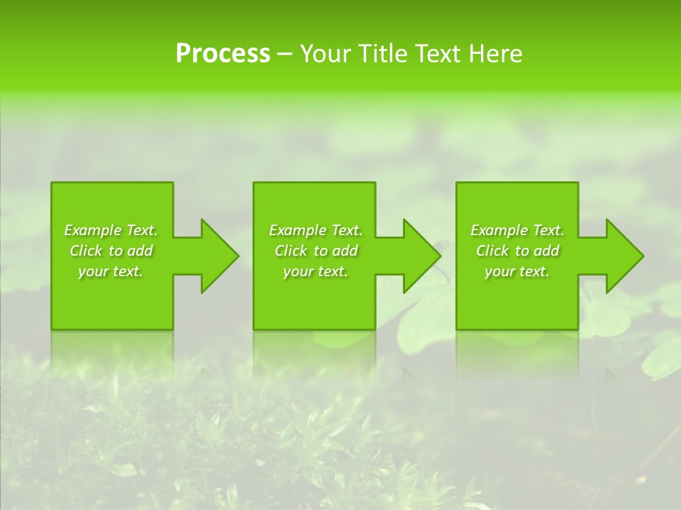 Woods Clover Nature PowerPoint Template