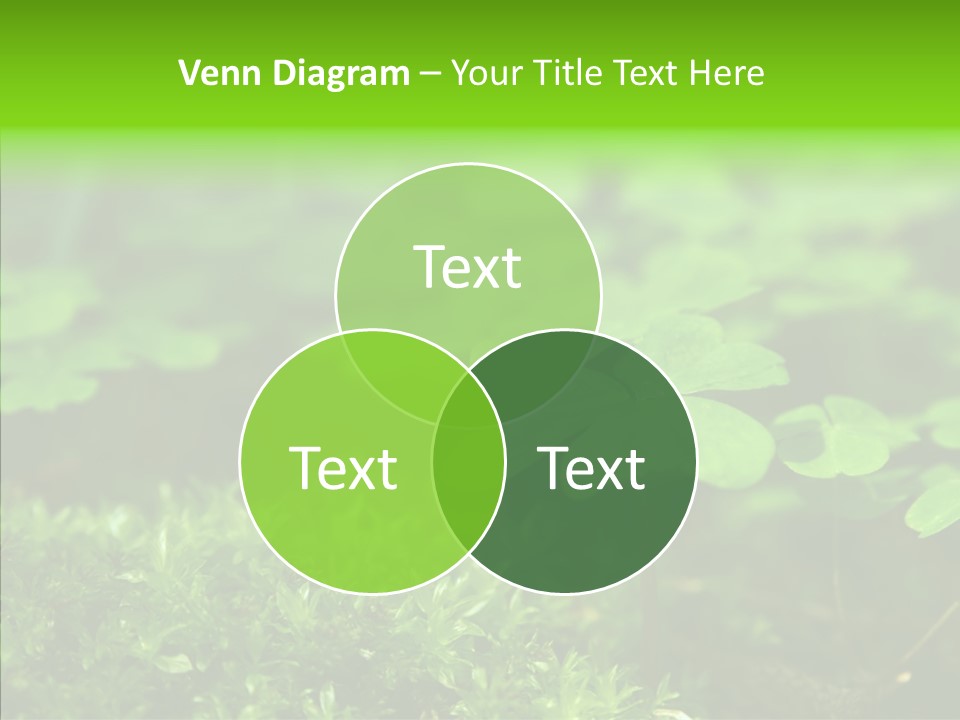 Woods Clover Nature PowerPoint Template