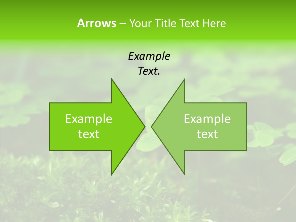 Woods Clover Nature PowerPoint Template