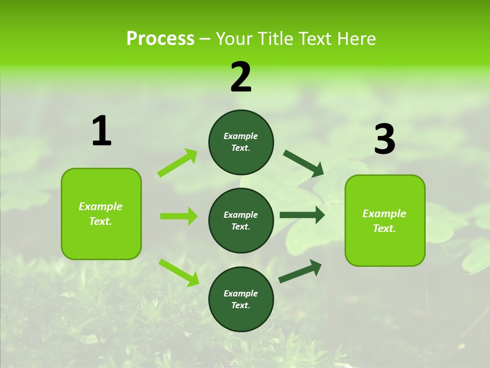 Woods Clover Nature PowerPoint Template