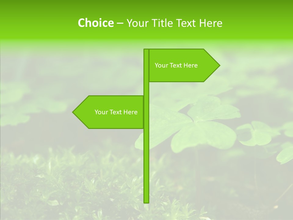 Woods Clover Nature PowerPoint Template