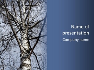 Plant Tree Black PowerPoint Template
