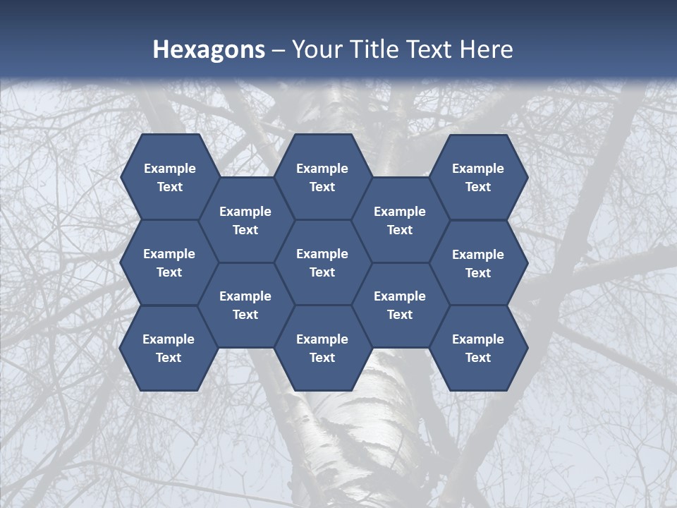 Plant Tree Black PowerPoint Template