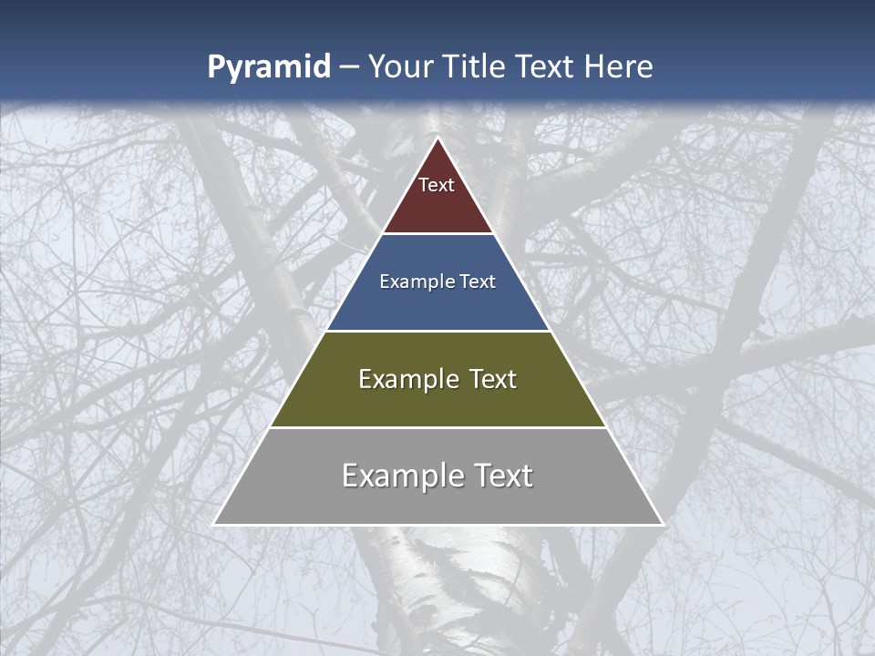 Plant Tree Black PowerPoint Template