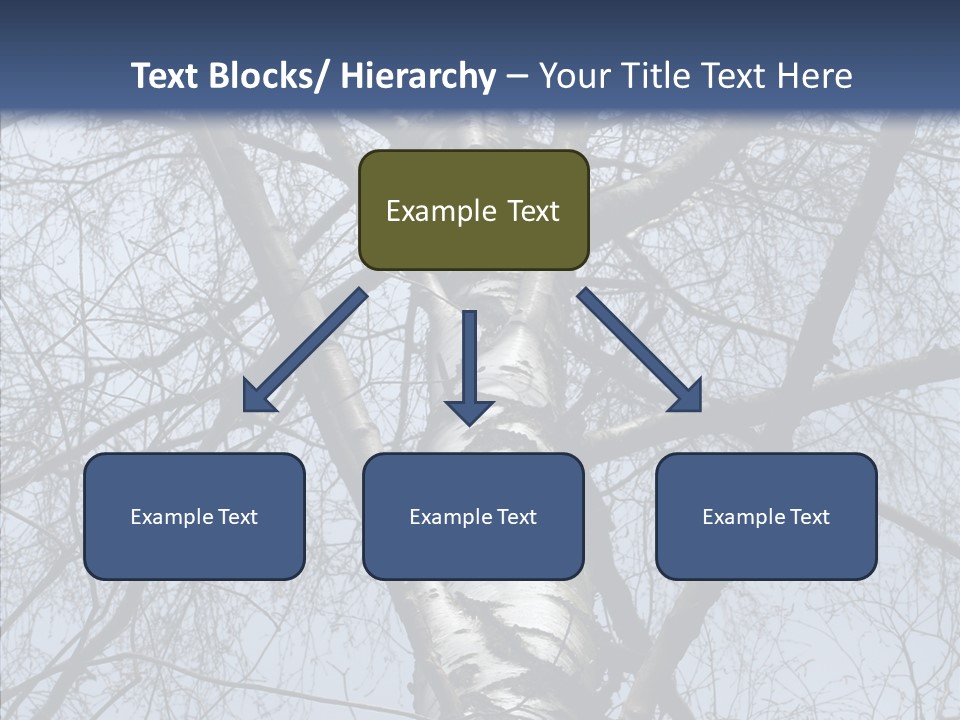 Plant Tree Black PowerPoint Template