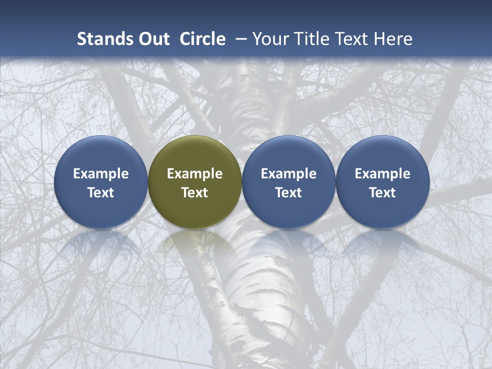Plant Tree Black PowerPoint Template
