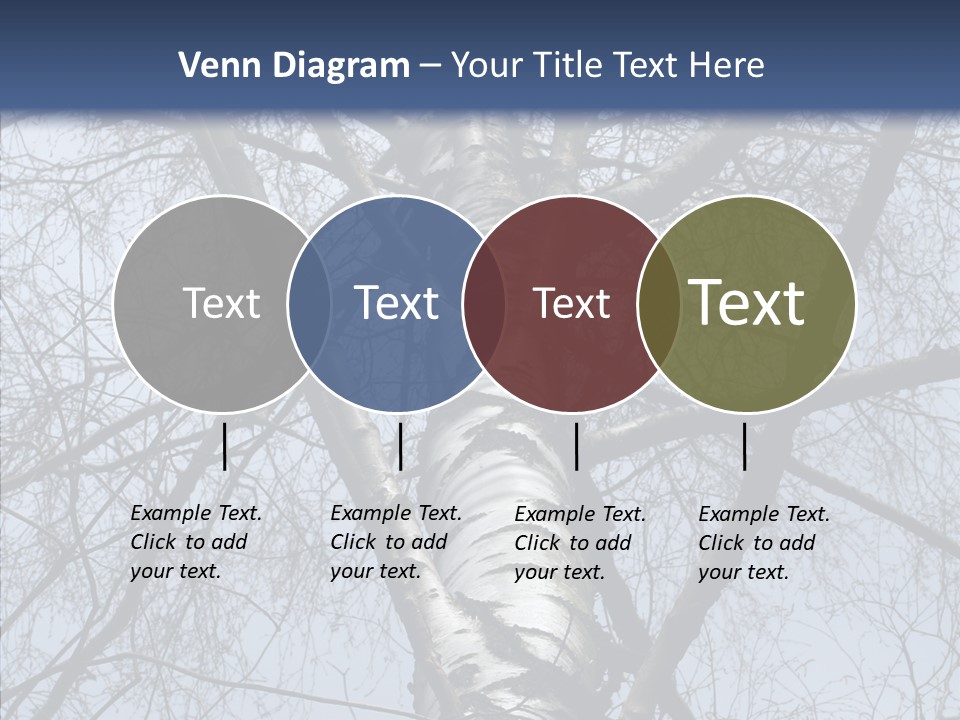 Plant Tree Black PowerPoint Template