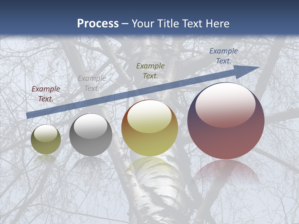 Plant Tree Black PowerPoint Template