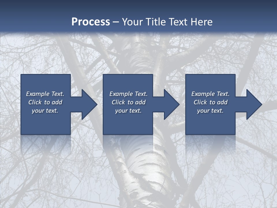 Plant Tree Black PowerPoint Template