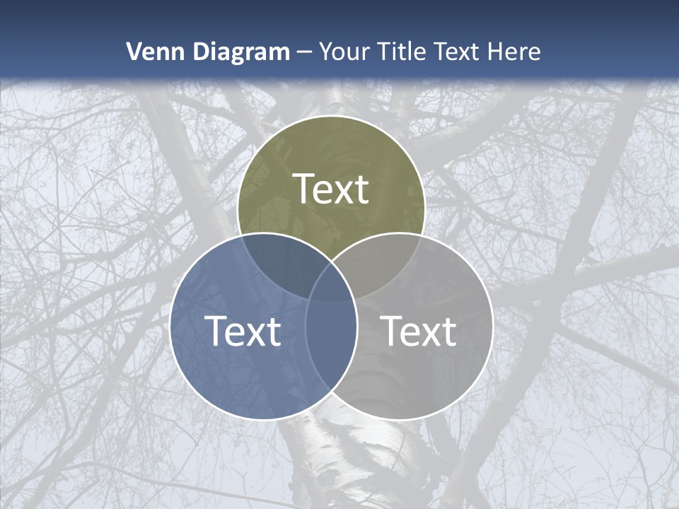 Plant Tree Black PowerPoint Template