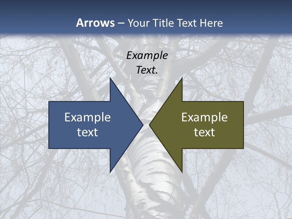 Plant Tree Black PowerPoint Template