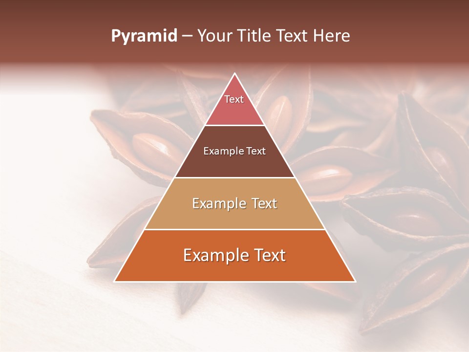 Seed Licorice Savory PowerPoint Template