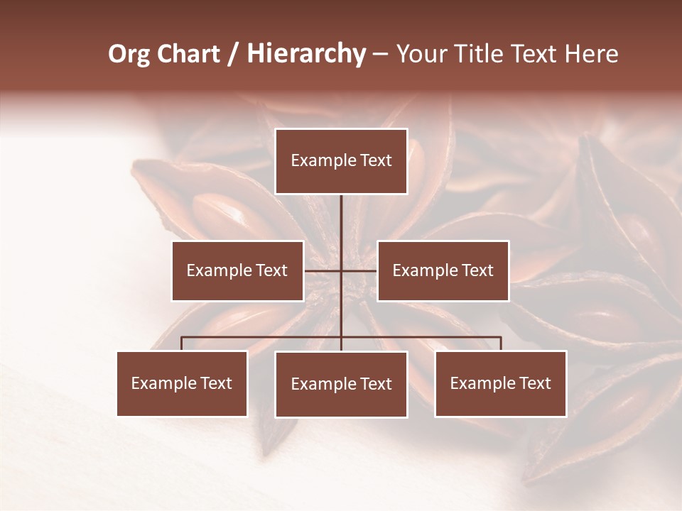 Seed Licorice Savory PowerPoint Template