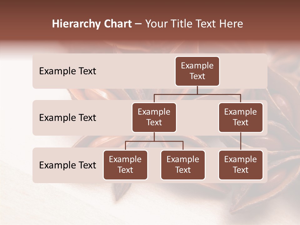 Seed Licorice Savory PowerPoint Template