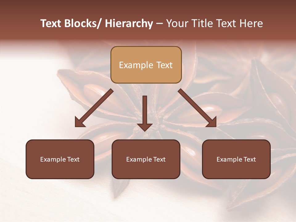 Seed Licorice Savory PowerPoint Template