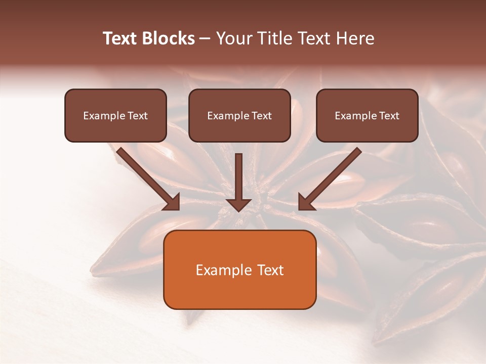 Seed Licorice Savory PowerPoint Template