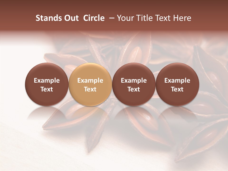 Seed Licorice Savory PowerPoint Template