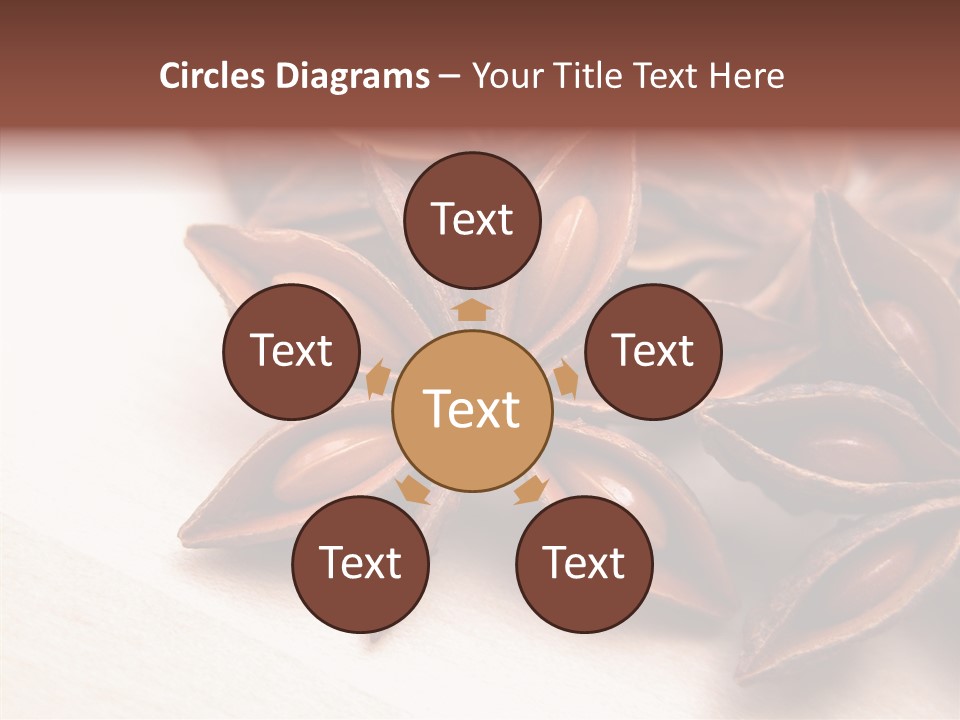 Seed Licorice Savory PowerPoint Template