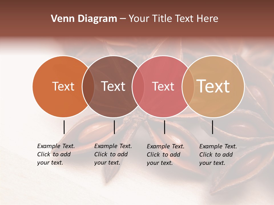 Seed Licorice Savory PowerPoint Template