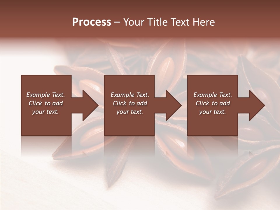 Seed Licorice Savory PowerPoint Template